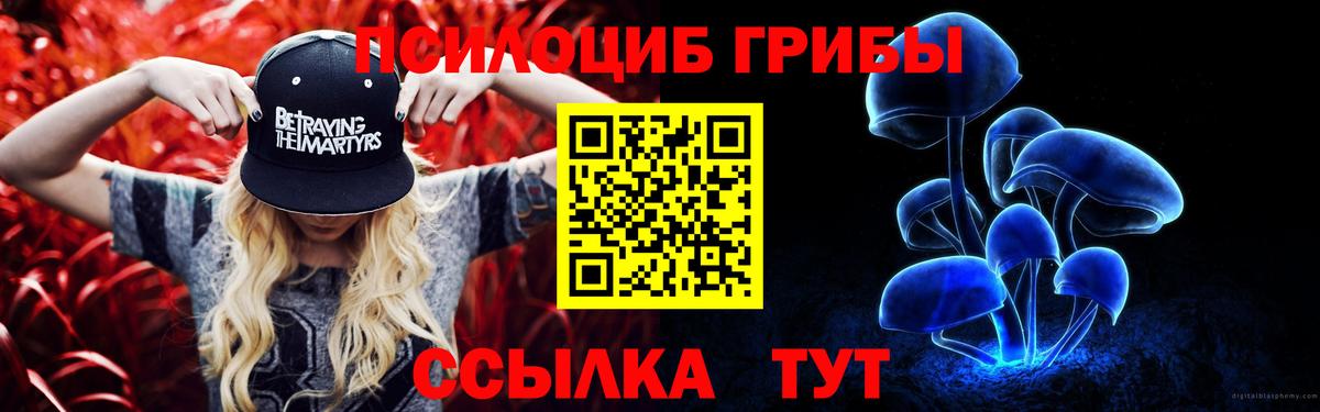 Псилоцибиновые грибы ЛСД  где купить   Чехов  Псилоцибиновые грибы мицелий  Вход с VPN 
